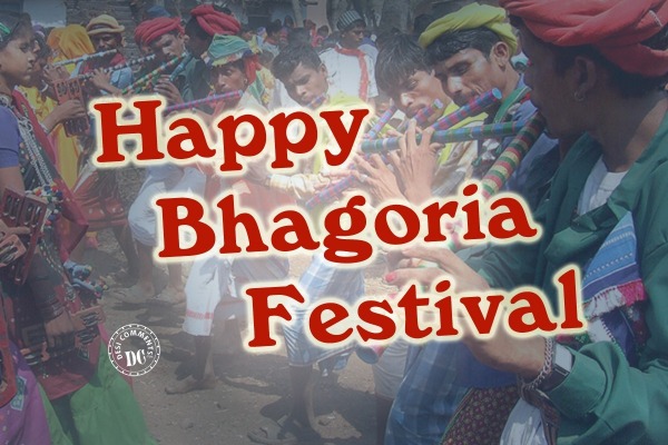 Bhagoria Festival
