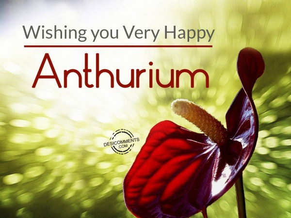Wishing You Very happy  Anthurium