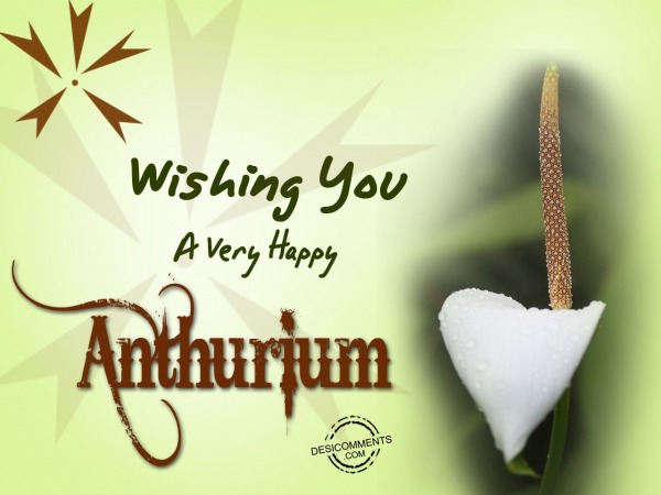 Wishing You happy  Anthurium