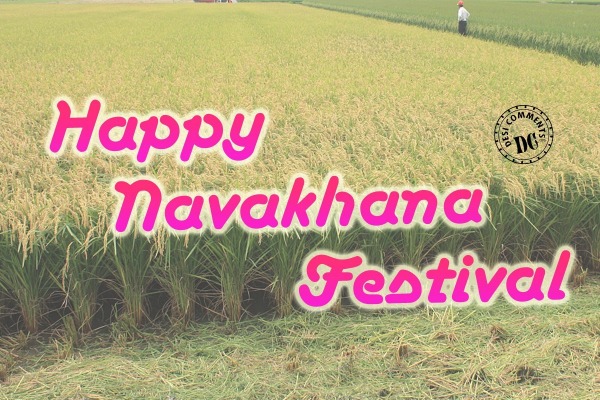 Happy Navakhana festival