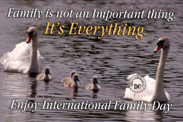 Family is not an important thing