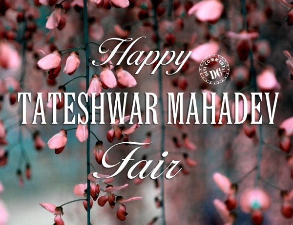 Tateshwar Mahadev Fair