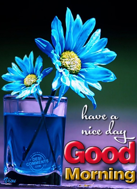 Have A Nice Day