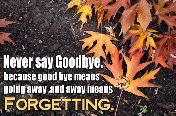 Never say goodbye