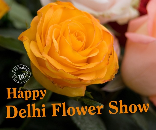 Delhi Flower Show Image