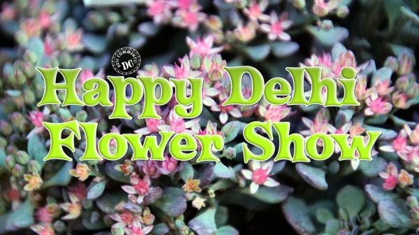 Happy Delhi Flower Show