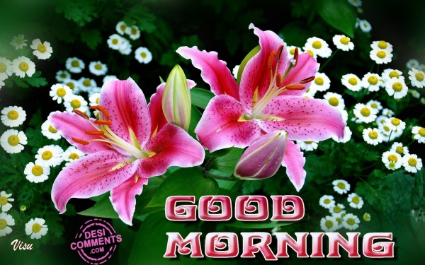 Good Morning – Have A Nice Day