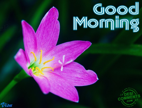 Wishing You Good Morning