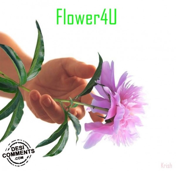 Flower 4 U