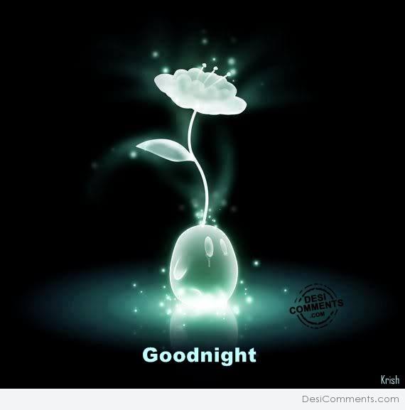 Good Night With Flower