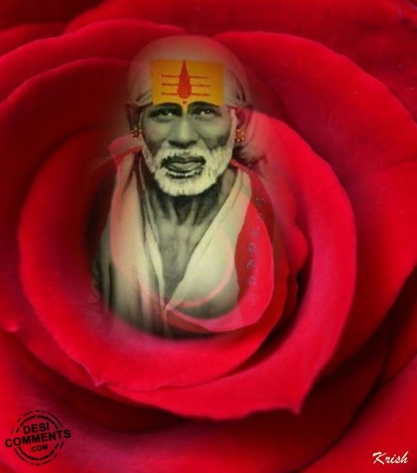 Sai Baba Image