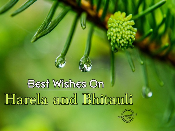 Best wishes on Harela and Bhitauli