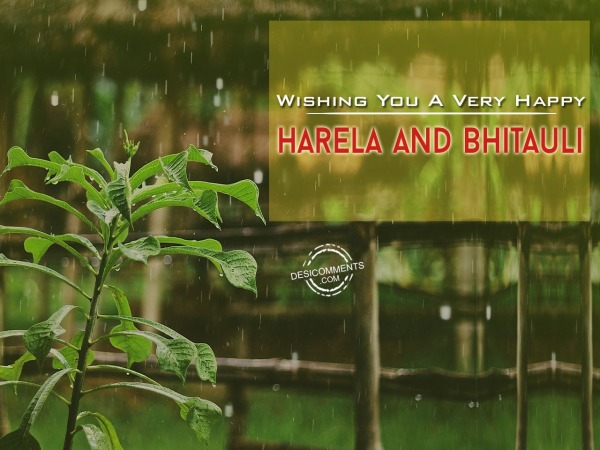 Great wishes on Harela and Bhitauli