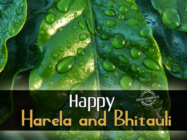 Happy Harela And Bhitauli