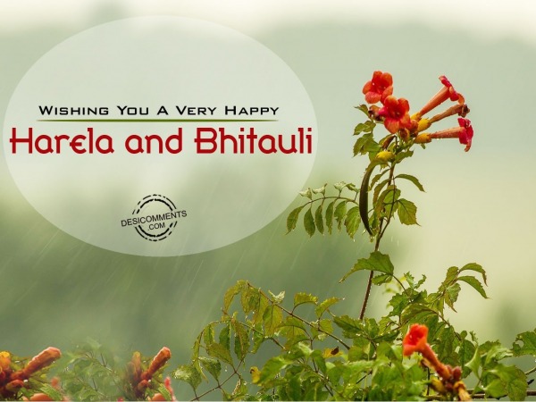 Wishing you happy Harela and Bhitauli