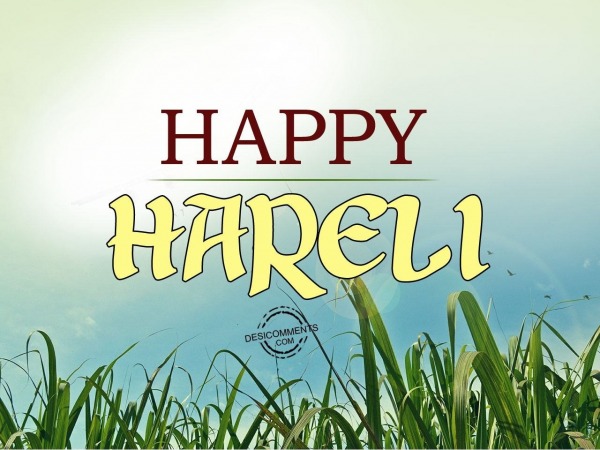 Wishes on Hareli