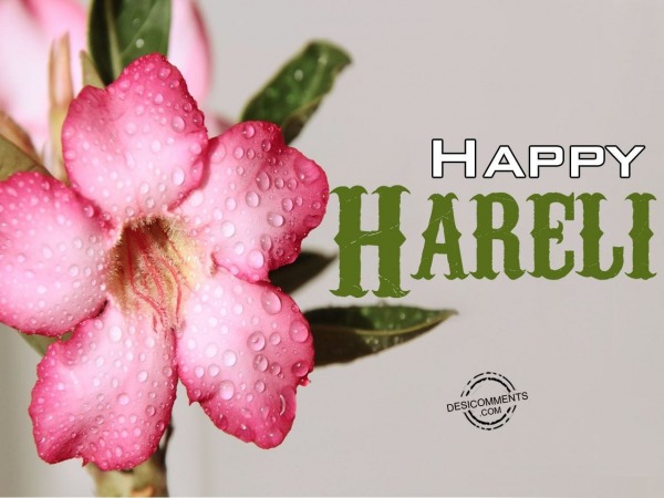 Wishing happy Hareli