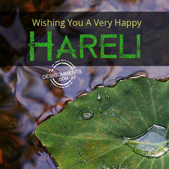 Wishing on Hareli
