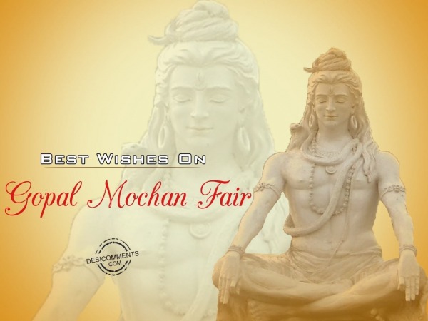 Wishes on Gopal Mochan Fair