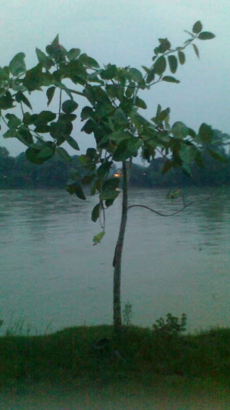 Damodar river