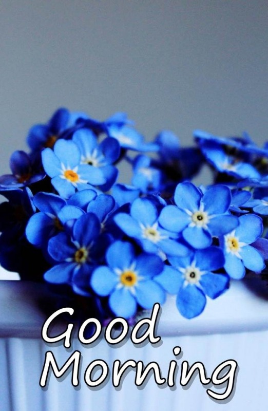 Good Morning