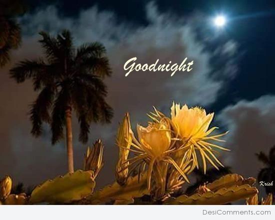 Good night With Flower - DesiComments.com