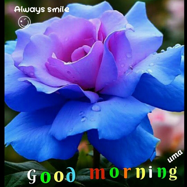 Good morning – Always Smile