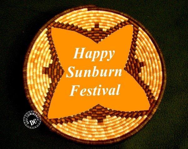 Happy Sunburn festival