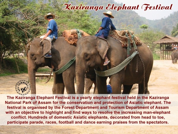 Details About Kaziranga Festival