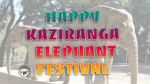 Happy Kaziranga Elephant festival