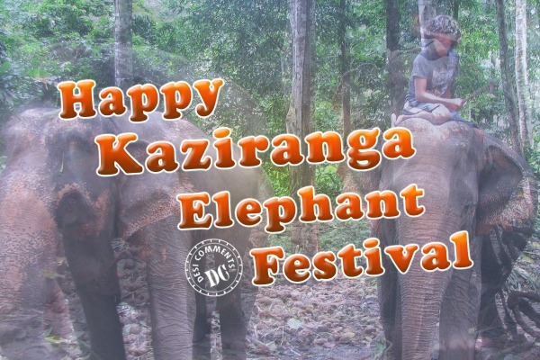 Kaziranga Elephant Festival