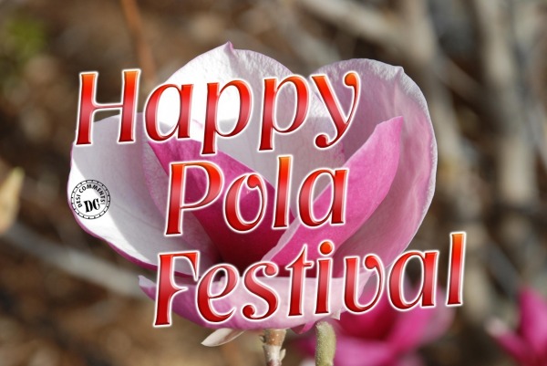 Happy Pola Festival