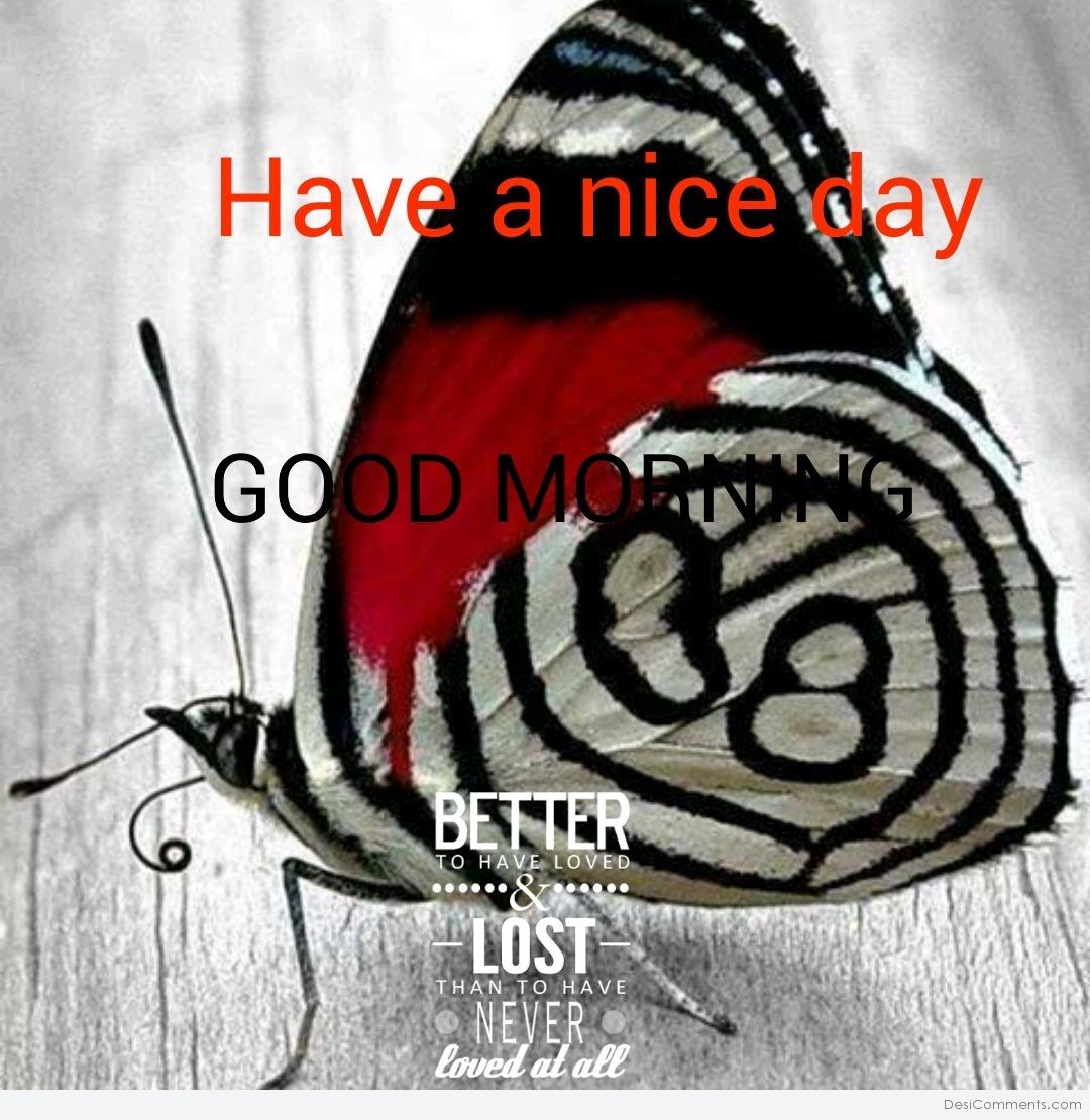 Good Morning With Butterfly - DesiComments.com