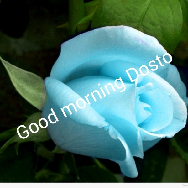 Good Morning Dosto