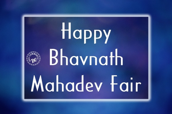 Happy Bhavnath Mahadev Fair