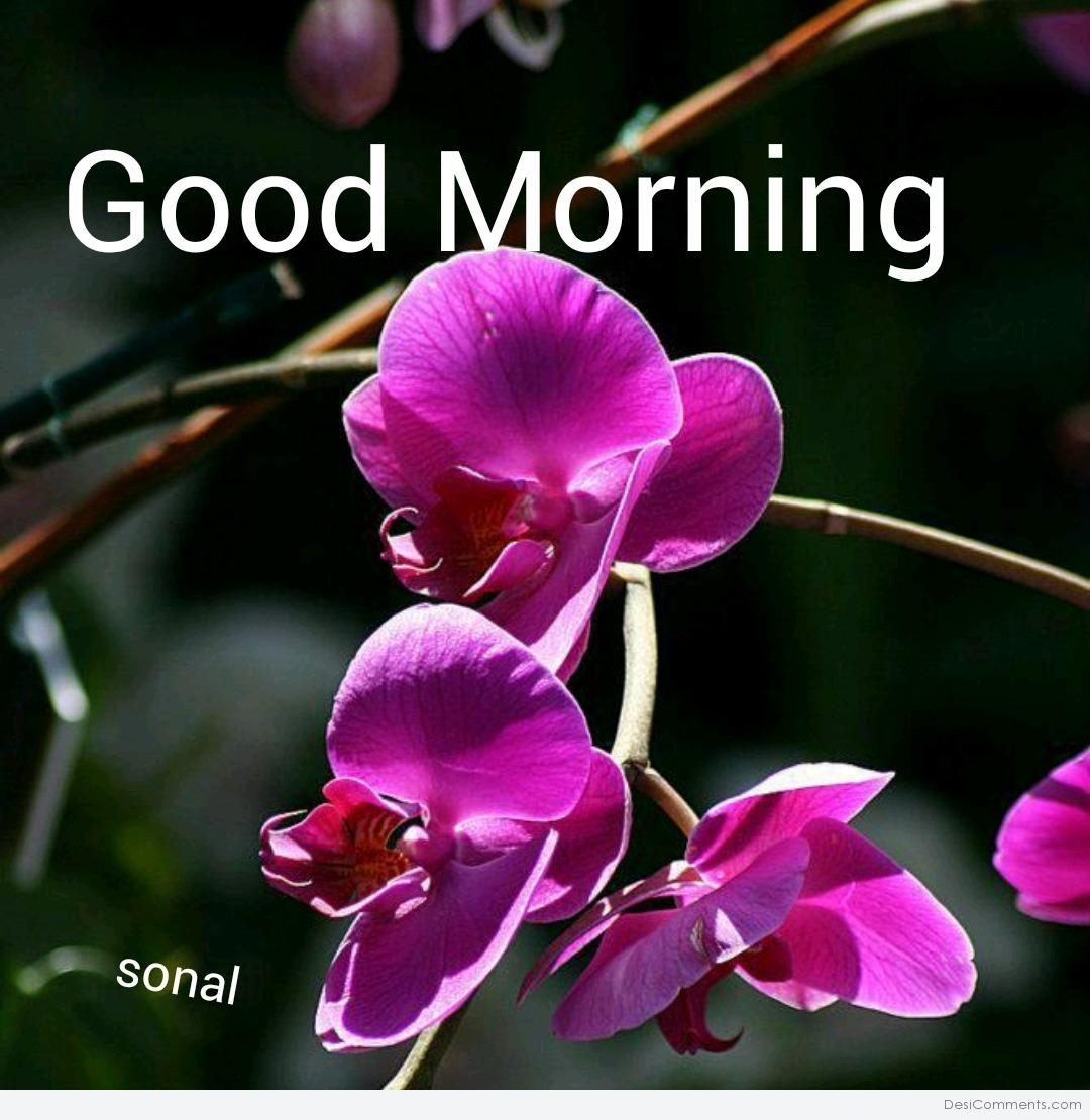 Good Morning With Purple Flower - DesiComments.com