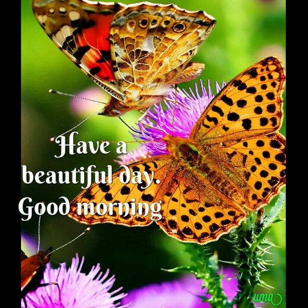 Good morning – Have A Beautiful Day