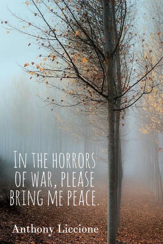 In the horrors of war, please bring me peace