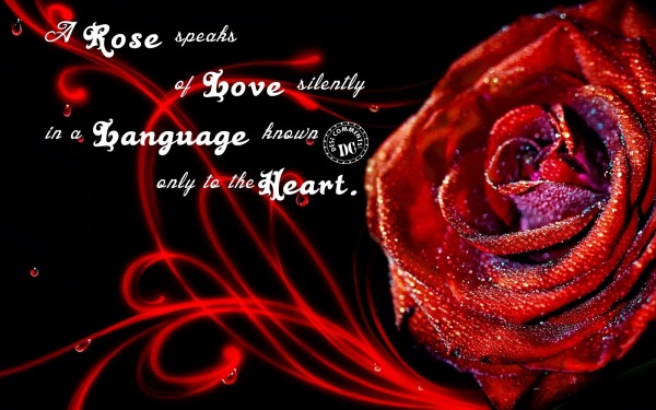 A Rose speaks