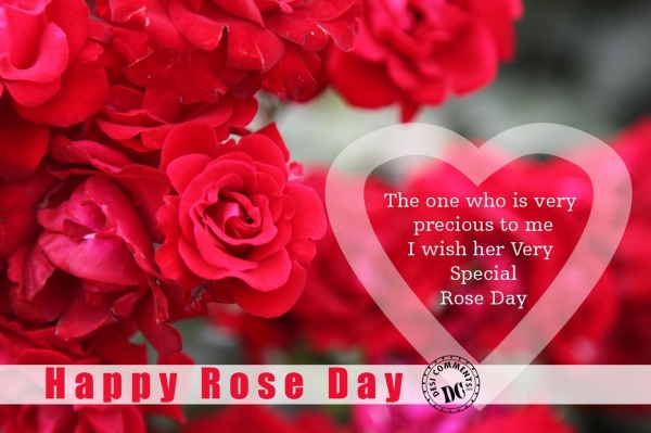 Rose Day Wish