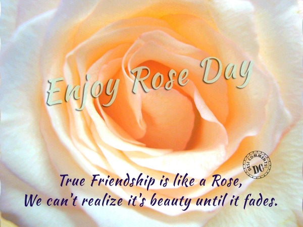 Enjoy Rose Day