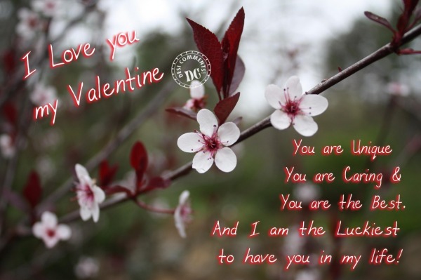 I Love you my Valentine