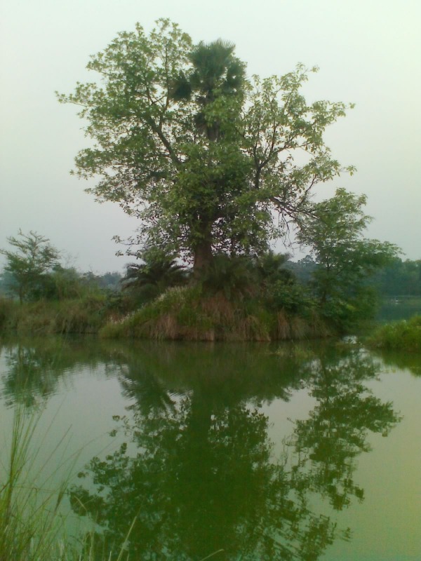 Nature of uttar durgapur,howrah