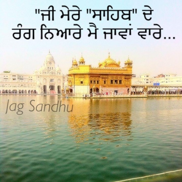 Mere sahib de rang niyaare