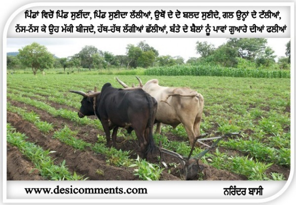 Pinda vichon Pind Suni da…..