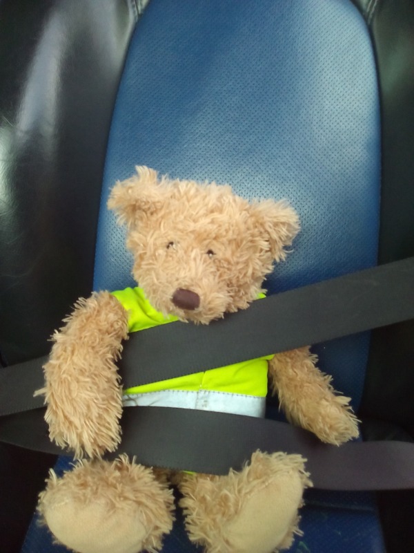Teddy Bear In Car