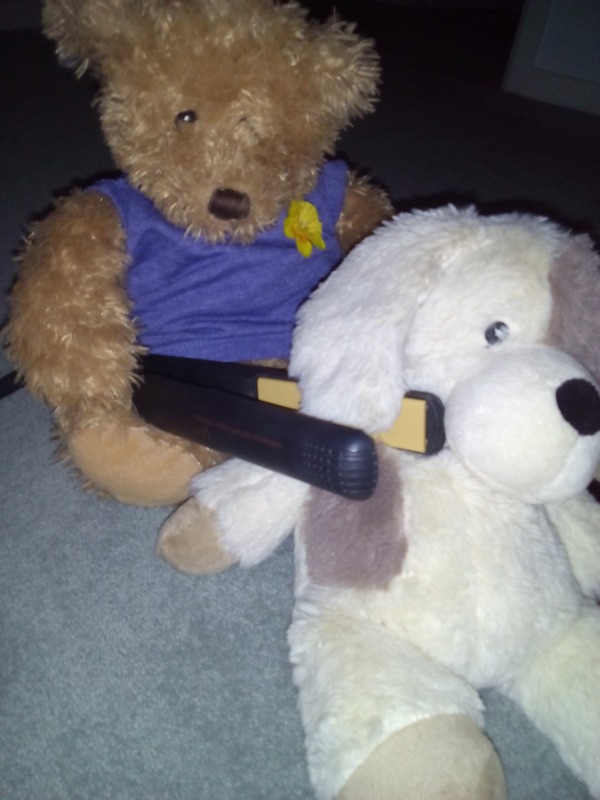 Hairdresser Edward bear