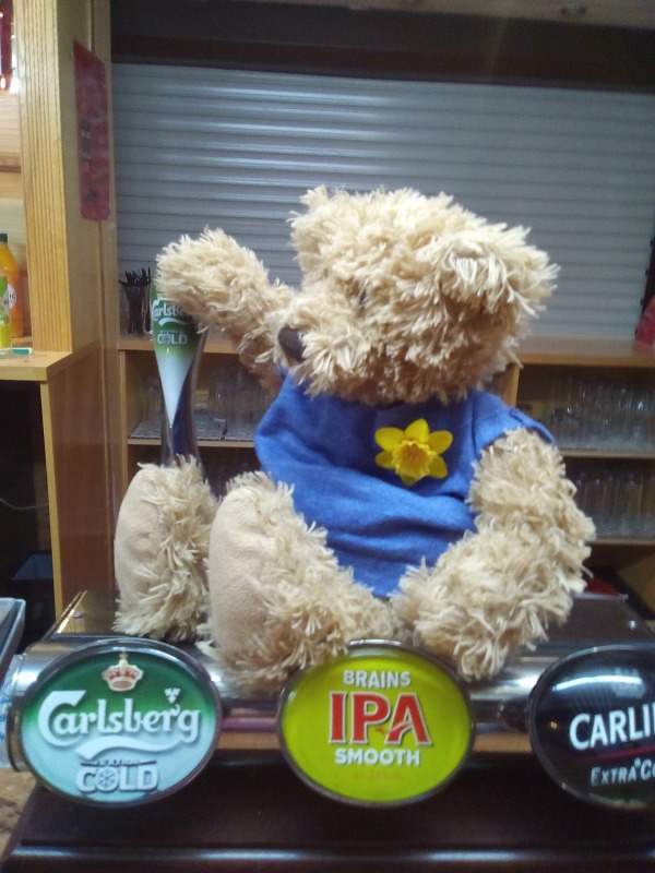 landlord bear