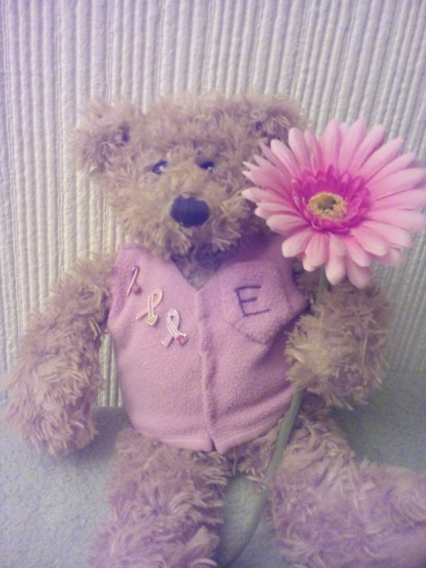 Cancer support bear