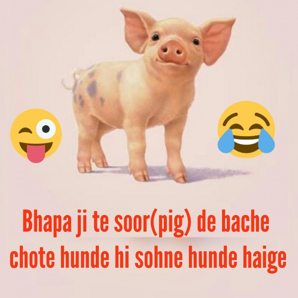 Bhapa ji  te soor(pig) de bache chote hunde hi sohne hunde haige